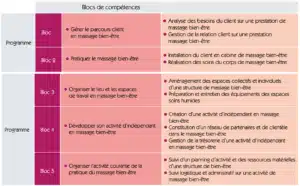 programme du praticien massage et bien-être